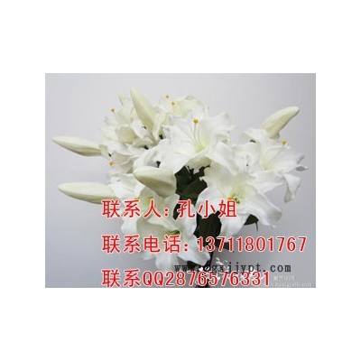 聚氨酯樹脂 1048軟發(fā)泡料 柔軟動(dòng)漫定格專用 PU發(fā)泡膠 仿真花草樹葉發(fā)泡劑