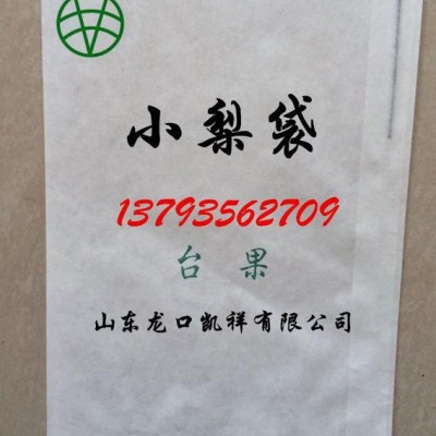 小梨袋機(jī)廠家 雙排產(chǎn)袋式小梨袋機(jī) 凱祥牌小梨袋機(jī) 制袋機(jī)