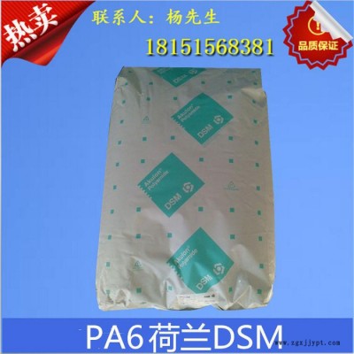 尼龍pa6料 批發(fā)代理 PA6/荷蘭DSM/K224-G3