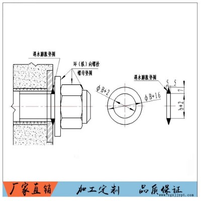 氯丁橡膠遇水膨脹橡膠墊圈  密封圈 止水環(huán) 廠家供貨