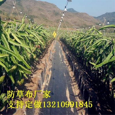 PP-PE防草布廠家 定制黑色防草布/除草布/園藝地布/可降解果樹果園防草布 花卉防草專用布