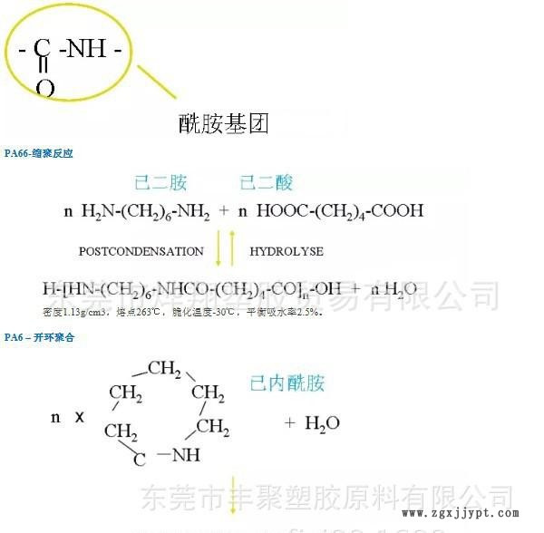 PA6的分子