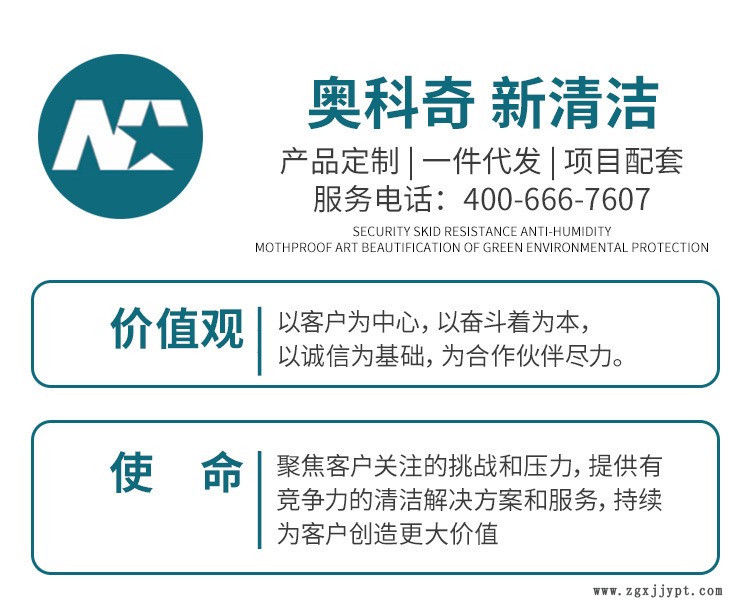 坦能250三速吹干機吹風機 Blower 三檔變速酒店賓館烘干地面地毯示例圖3