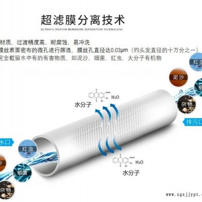 UF超濾膜  PVDF超濾膜，PVDF材質(zhì)膜絲  柱式超濾膜，替代2860