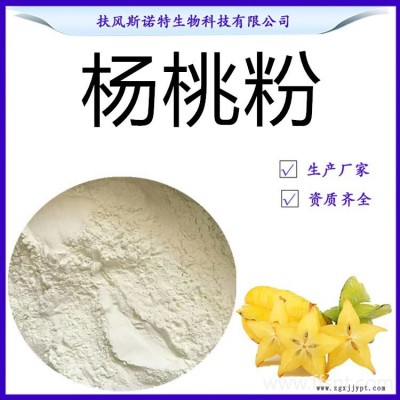 楊桃粉 98%楊桃粉 水溶性楊桃噴霧干燥粉 生產(chǎn)工廠資質齊全