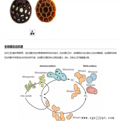 生物填料設(shè)備-華利德塑機(jī)-一出六生物填料設(shè)備