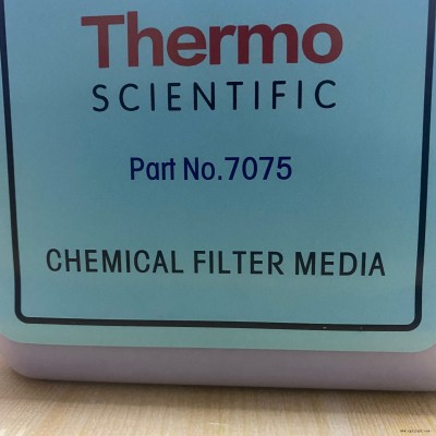 25503021賽默飛熱電 ThermoFisher 煙氣分析探頭密封圈