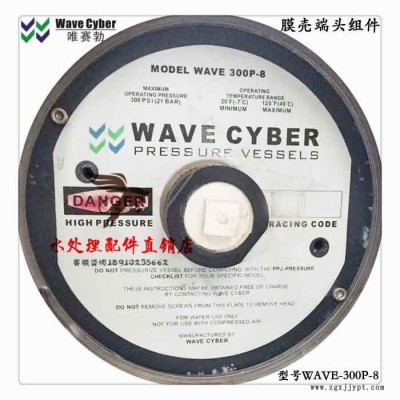 英國(guó)唯賽勃WAVECYBER WAVE-300P-8反滲透膜殼端蓋堵頭密封圈