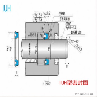 NOK密封件IUH型 密封圈 耐磨損 機(jī)械活塞桿油封