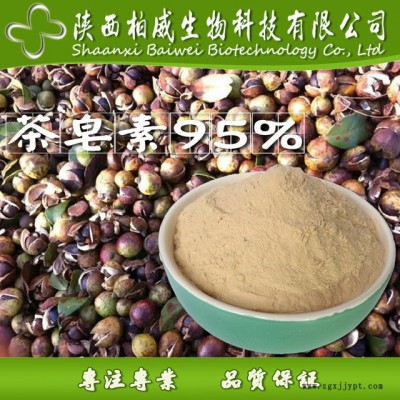 茶皂素 85% 茶樹籽提取物 發(fā)泡劑 天然表面活性劑