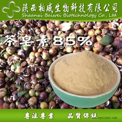 茶皂素 茶樹籽提取物 發(fā)泡劑 天然非離子表面活性劑 現(xiàn)貨批發(fā)價格 柏威生物 源頭工廠貨源 85%