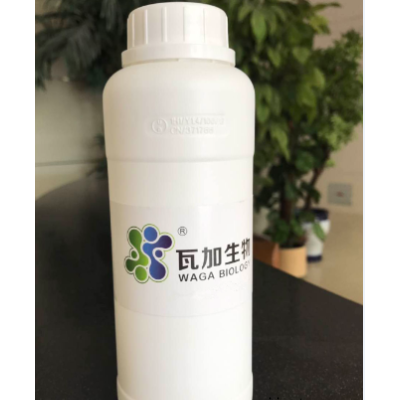 四川專業(yè)粉末涂料抗菌劑哪家強 值得信賴 上海瓦加生物科技供應(yīng)