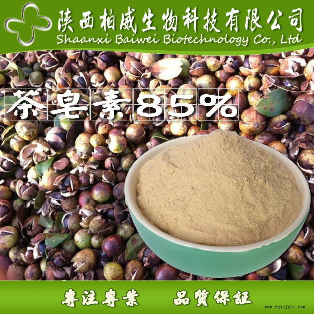 茶皂素 茶樹籽提取物 發(fā)泡劑 天然非離子表面活性劑 現(xiàn)貨批發(fā)價(jià)格示例圖3