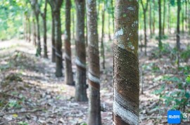 中國熱科院牽頭成果獲國家科學(xué)技術(shù)進(jìn)步獎(jiǎng)二等獎(jiǎng)